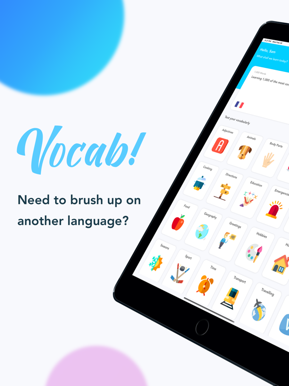 Screenshot #4 pour Vocab!