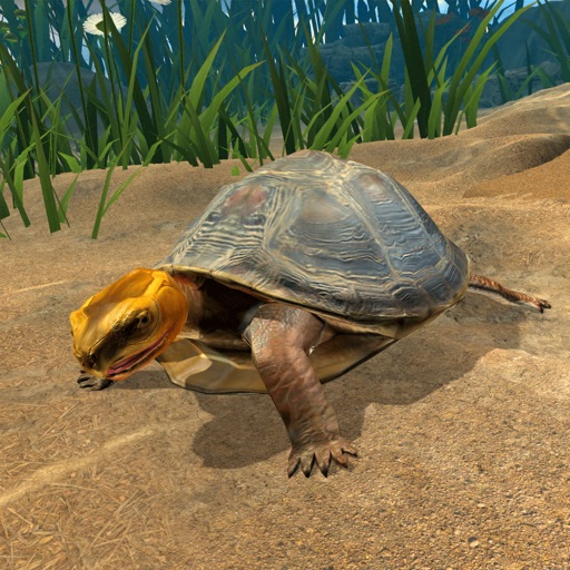 Box Turtle Simulator iOS App