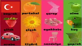Game screenshot Renkler Şekiller Sayılar hack