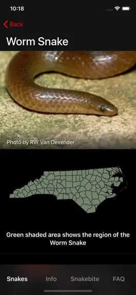 Game screenshot Snakes of North Carolina apk
