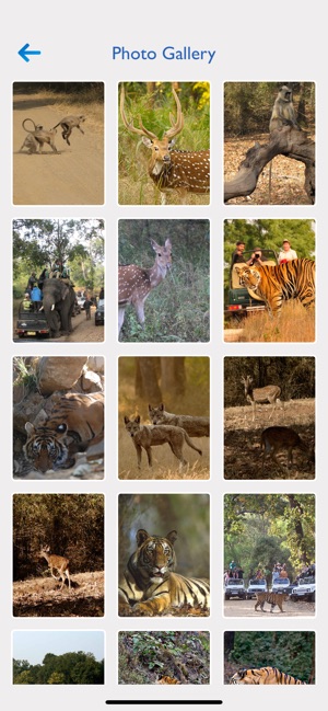 Bandhavgarh National Park(圖5)-速報App