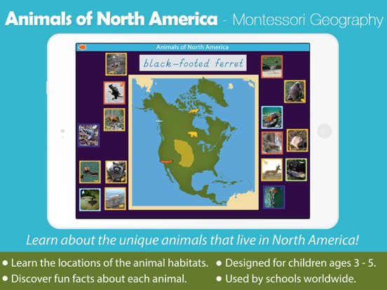 Screenshot #4 pour Animals of North America