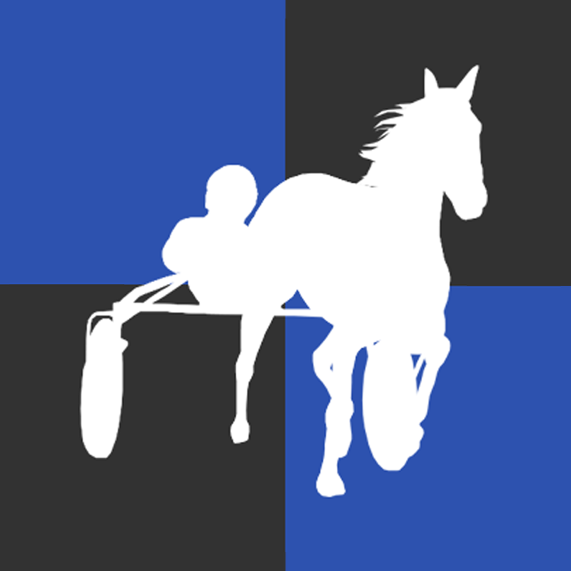 Catch Driver: Horse Racing