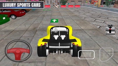 Exciting Levels Parking Car screenshot 3