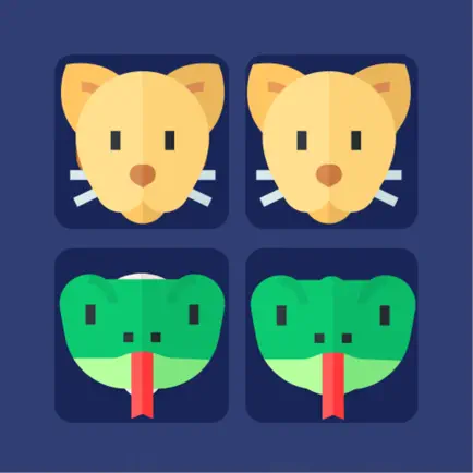 Brain Game. Picture Match 2021 Читы
