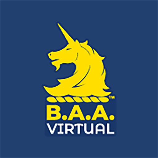 B.A.A. Virtual icon