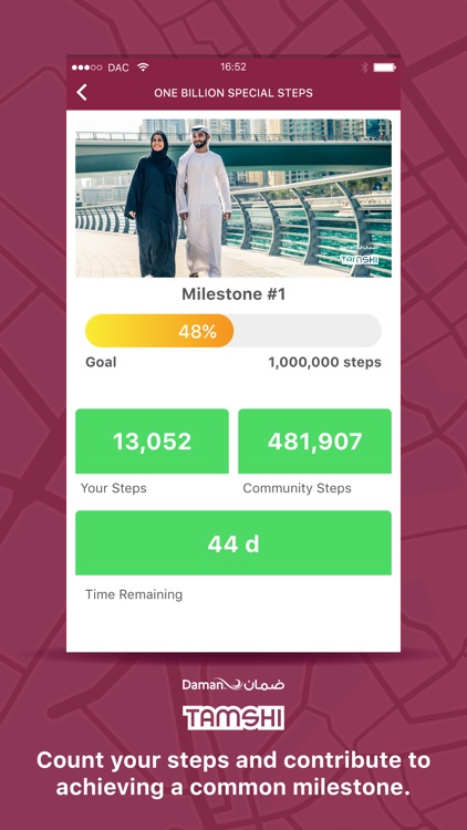 Daman Tamshi screenshot-3