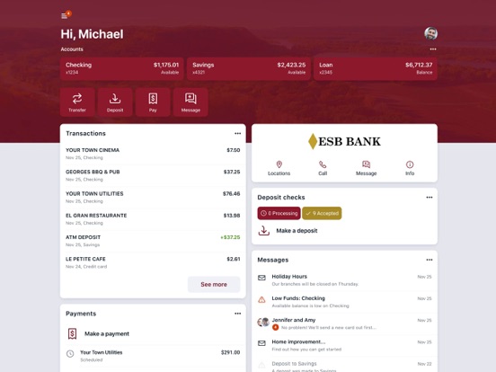 ESB Bank iPad screenshot 1 - Finance app
