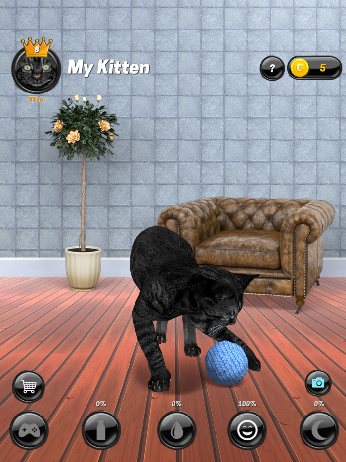 My Kitten Cat Simulator