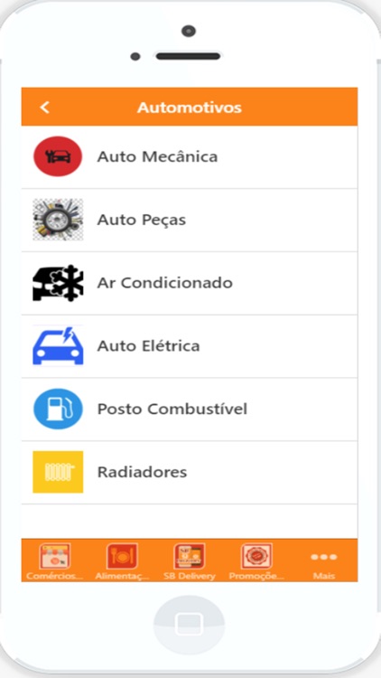 Guia Santa Bárbara-MG screenshot-6