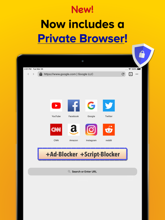 VPN Ai + Private Browser iPad screenshot 4 - Productivity app