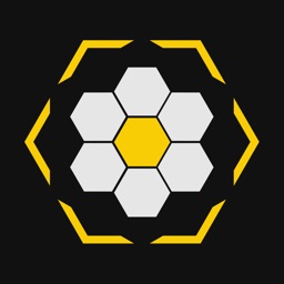 Solving Bee