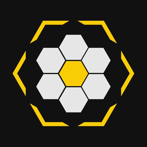 Solving Bee