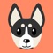 Dapper is a Dog Training app that will help you teach your dog an endless amount of tricks