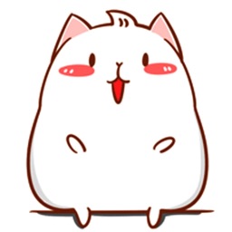 Cute Guinea Pig