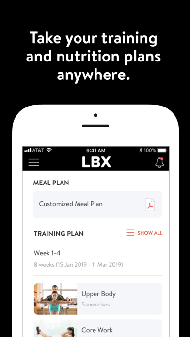 LBX by Lee Brothers MMA Screenshot