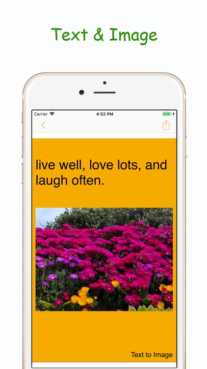 Text to Image