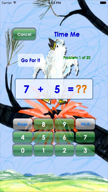 Math In A Flash (lite)