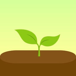 Forest Apple Watch App