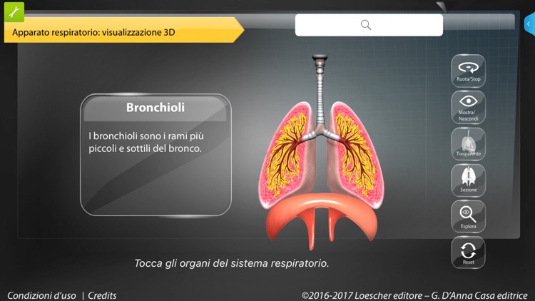 APPunti di anatomia for iPhone
