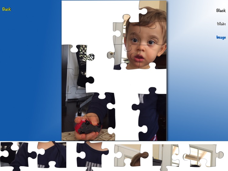 Family Puzzle