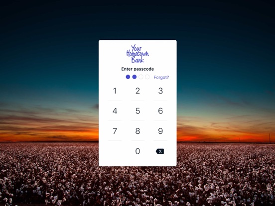 yourhometownbank iPad screenshot 1 - Finance app