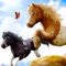 Live the dream of having a beautiful pony and dive into fantasy and joy races