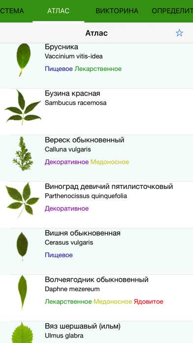 Экогид - Деревья летомのおすすめ画像2