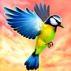 Oiseau Vol En Ciel Dans Lapp Store