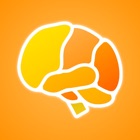 Brain App XL