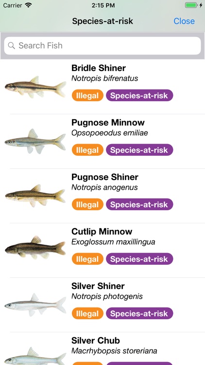 Baitfish Primer screenshot-4