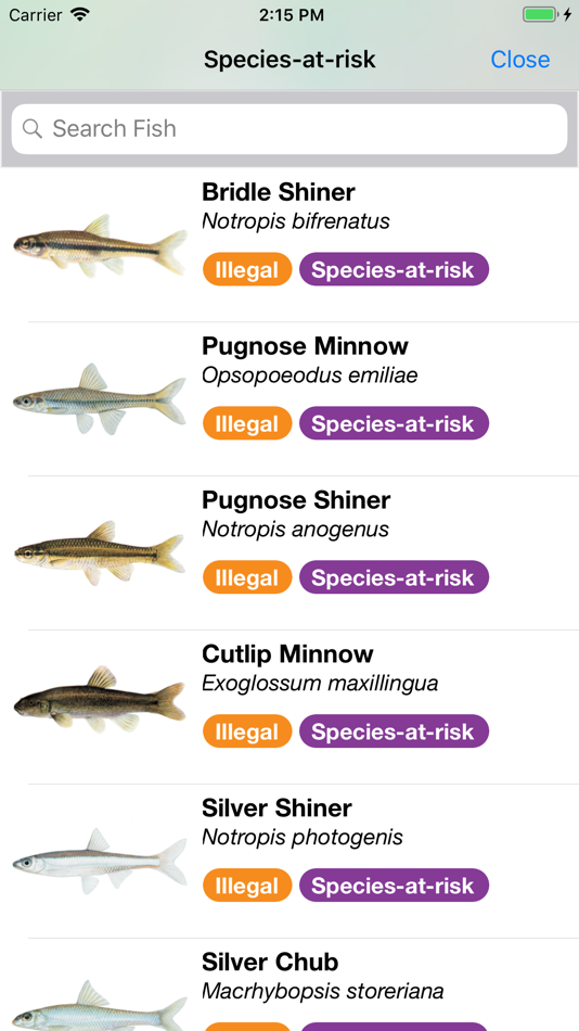 #5. Baitfish Primer (iOS) 由: Evelyn Liu