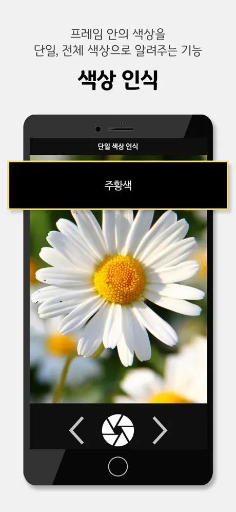 설리번+