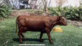 Game screenshot AR Petting Zoo mod apk