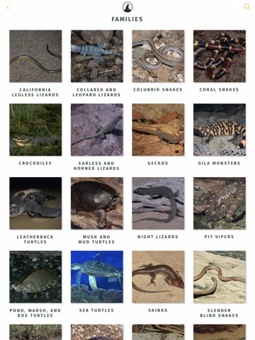 NWF Guide to Reptilesのおすすめ画像2