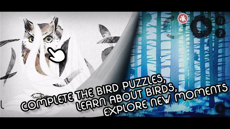 Bird's Forest screenshot-0
