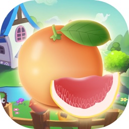 Splendid Fruit Classification