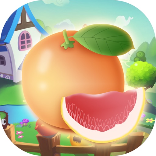 Splendid Fruit Classification