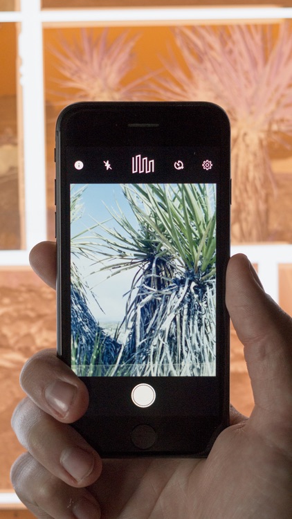 LF Companion screenshot-3