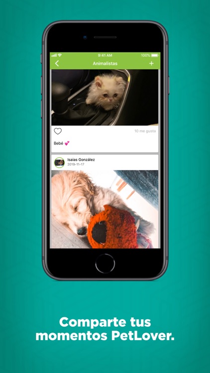PetLover App screenshot-6