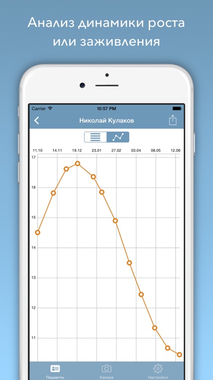 LesionMeter