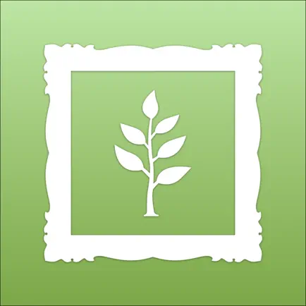 Memories Book Family History Cheats