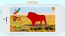 Game screenshot Головоломки с животных игры mod apk