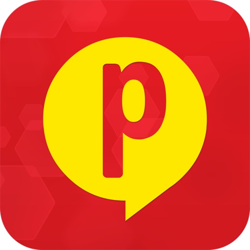 Pplus icon