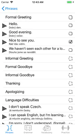 Game screenshot Czech Language Guide mod apk