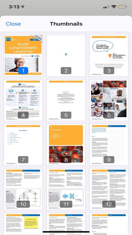 NCCN Patient Guides for Cancer screenshot-3