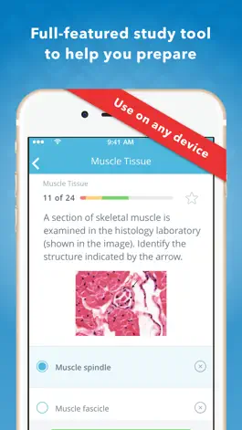 Game screenshot Histology: USMLE Q&A Review hack