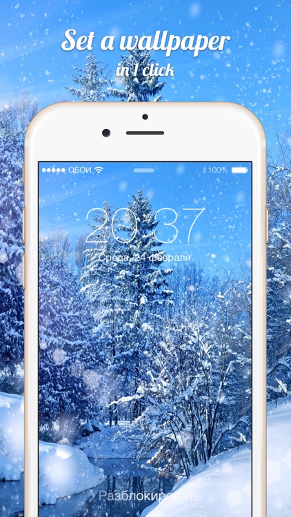 10000 WALLPAPERS & THEMES PRO
