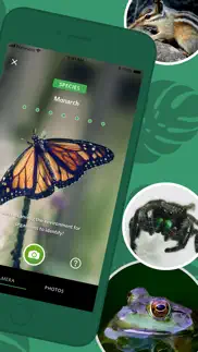seek by inaturalist iphone screenshot 2
