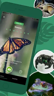 Seek av iNaturalist iphone bilder 1